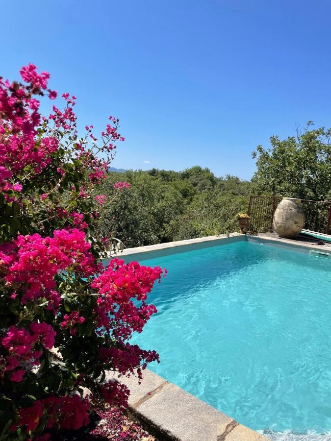 Le Petit Mas Bed & Breakfast Vogue Dış mekan fotoğraf