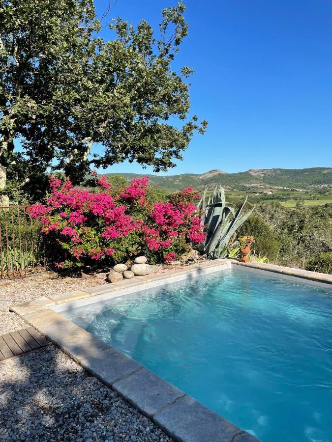 Le Petit Mas Bed & Breakfast Vogue Dış mekan fotoğraf