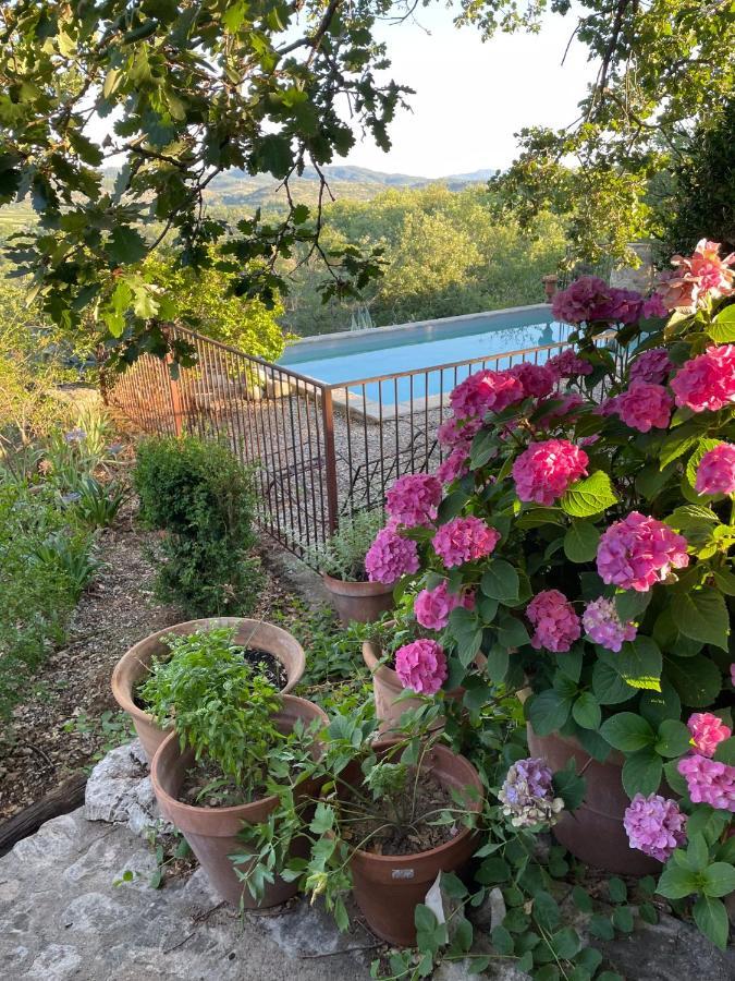 Le Petit Mas Bed & Breakfast Vogue Dış mekan fotoğraf