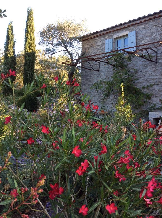 Le Petit Mas Bed & Breakfast Vogue Dış mekan fotoğraf