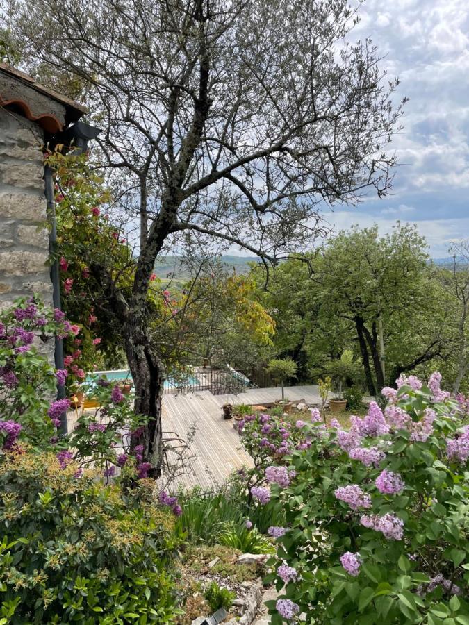 Le Petit Mas Bed & Breakfast Vogue Dış mekan fotoğraf